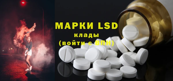 хмурый Алзамай