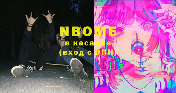 хмурый Алзамай