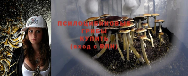 стаф Алексин