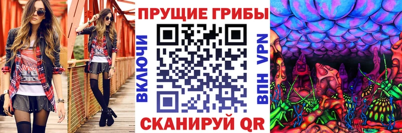 MEGA зеркало  Котельники  Псилоцибиновые грибы Cubensis 